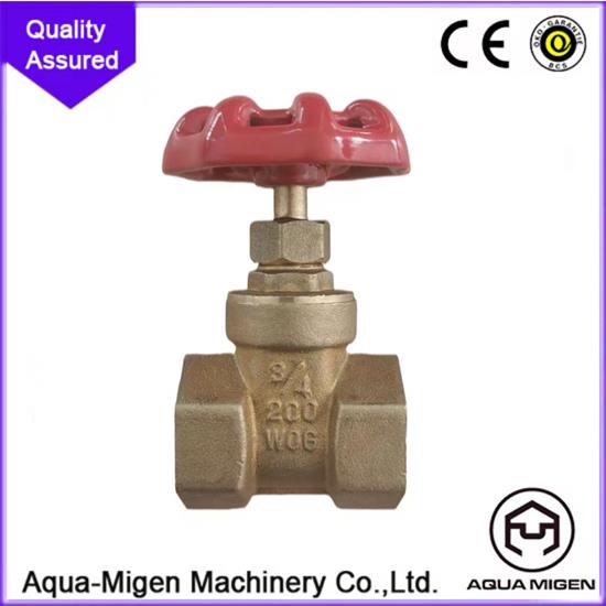 gate valve