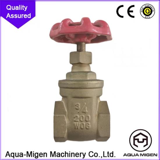 gate valve2